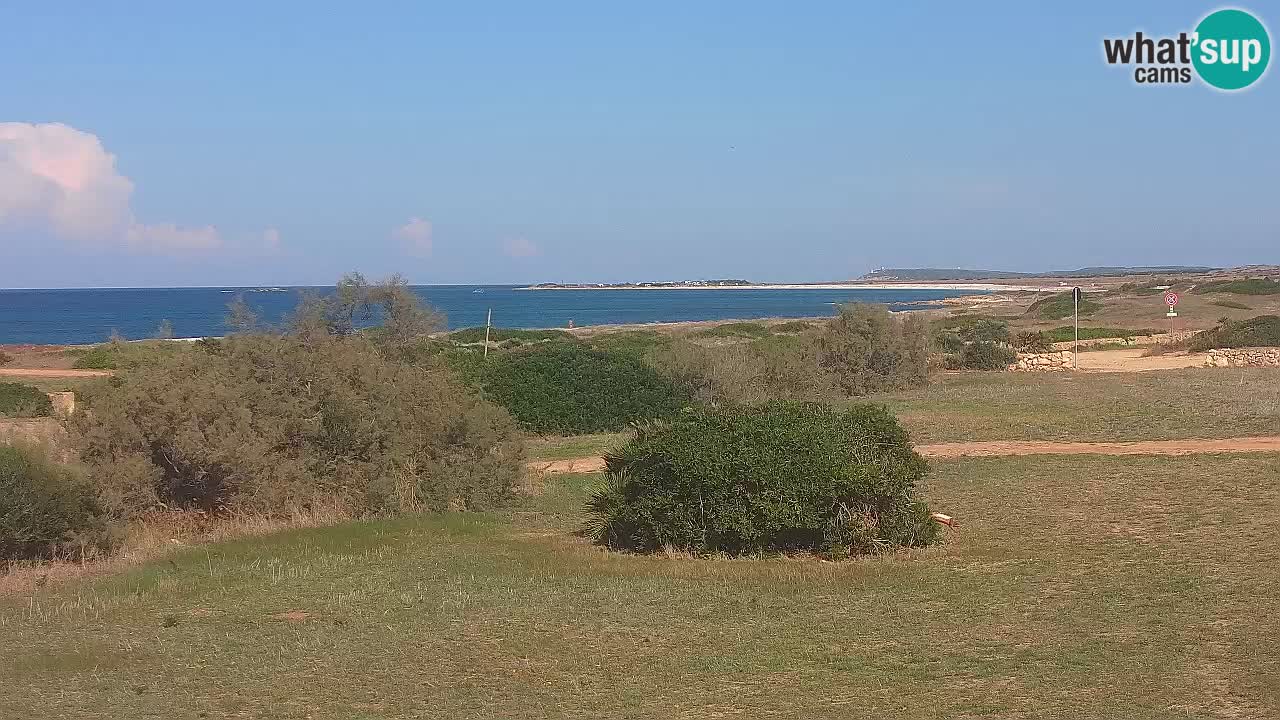 Plage Mari Ermi | Is Arutas – Oristano