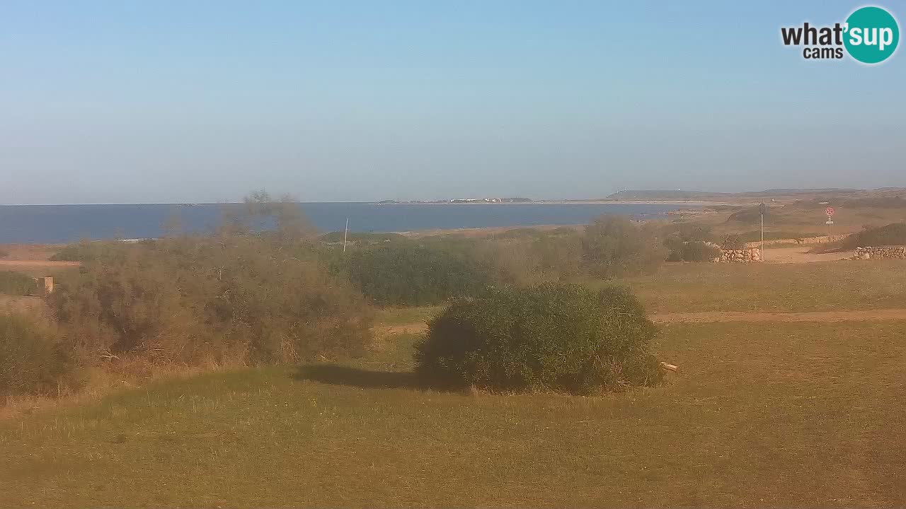 Mari Ermi Strand | Is Arutas – Oristano