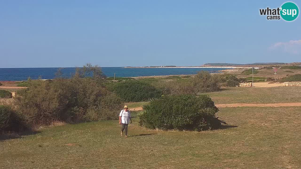 Plaža Mari Ermi | Is Arutas – Oristano