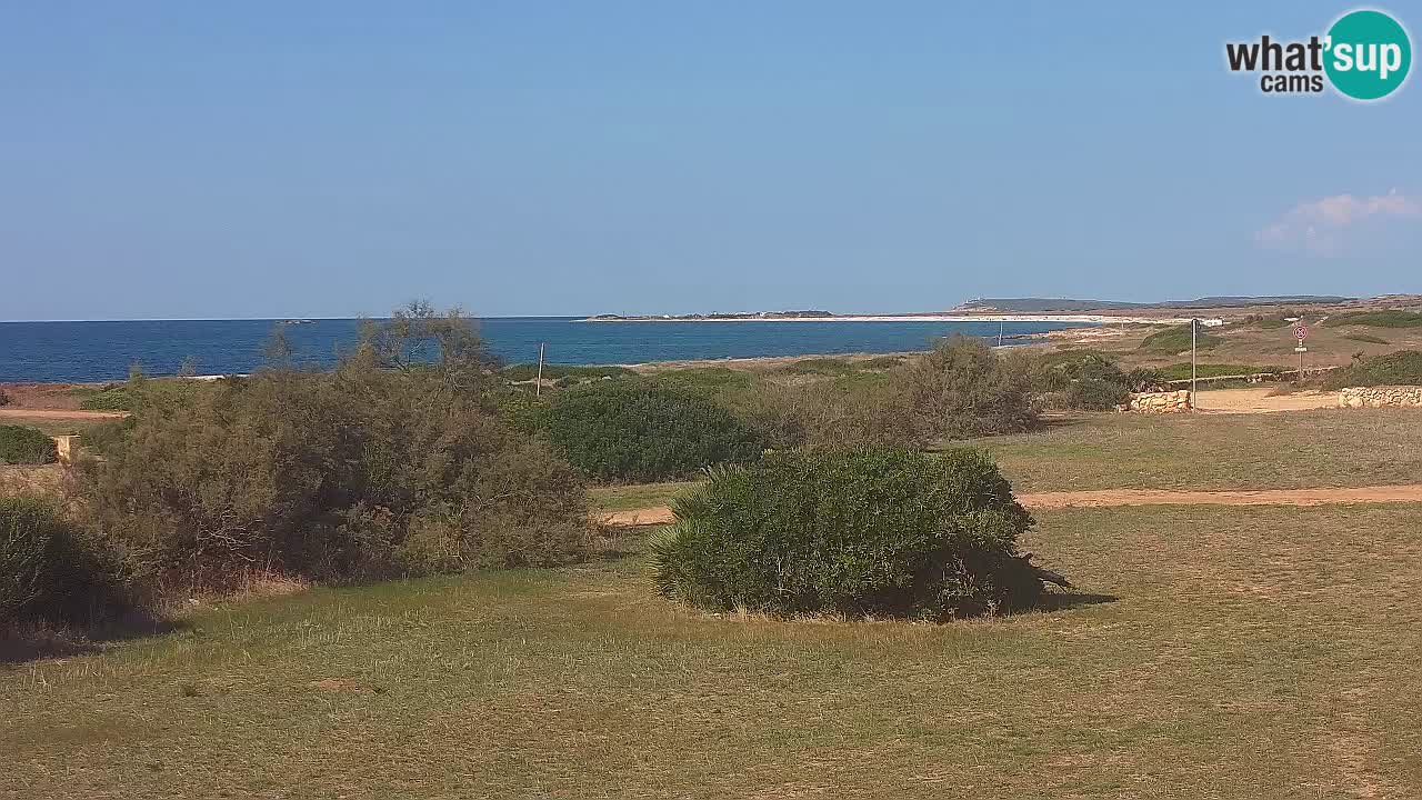 Mari Ermi Strand | Is Arutas – Oristano