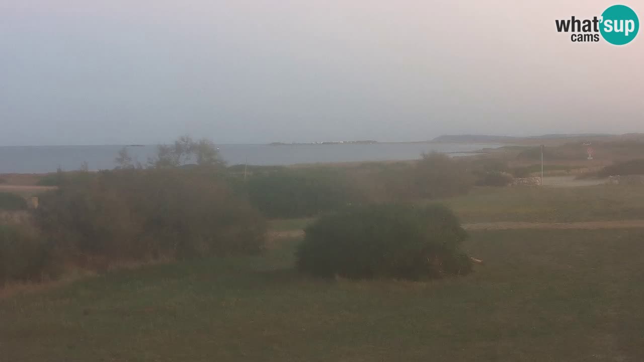 Mari Ermi Strand | Is Arutas – Oristano