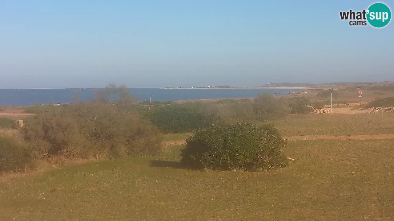 Mari Ermi Strand | Is Arutas – Oristano