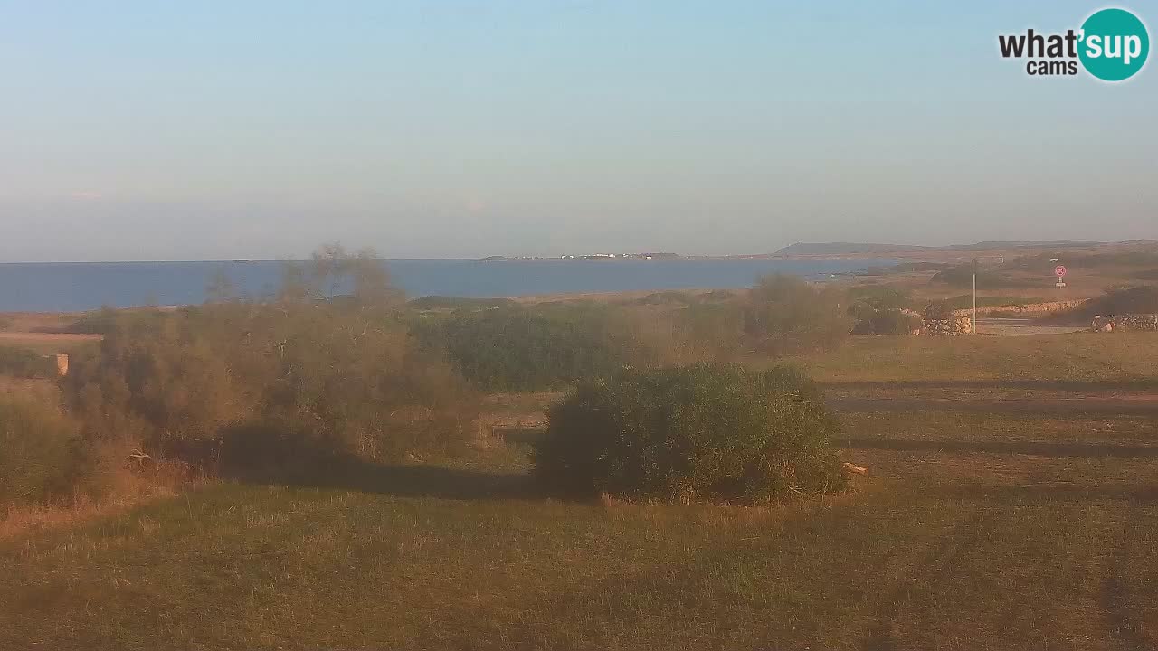 Playa Mari Ermi | Is Arutas – Oristano