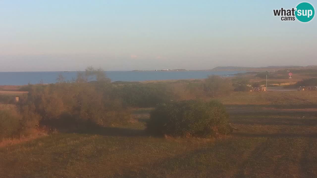 Plaža Mari Ermi | Is Arutas – Oristano