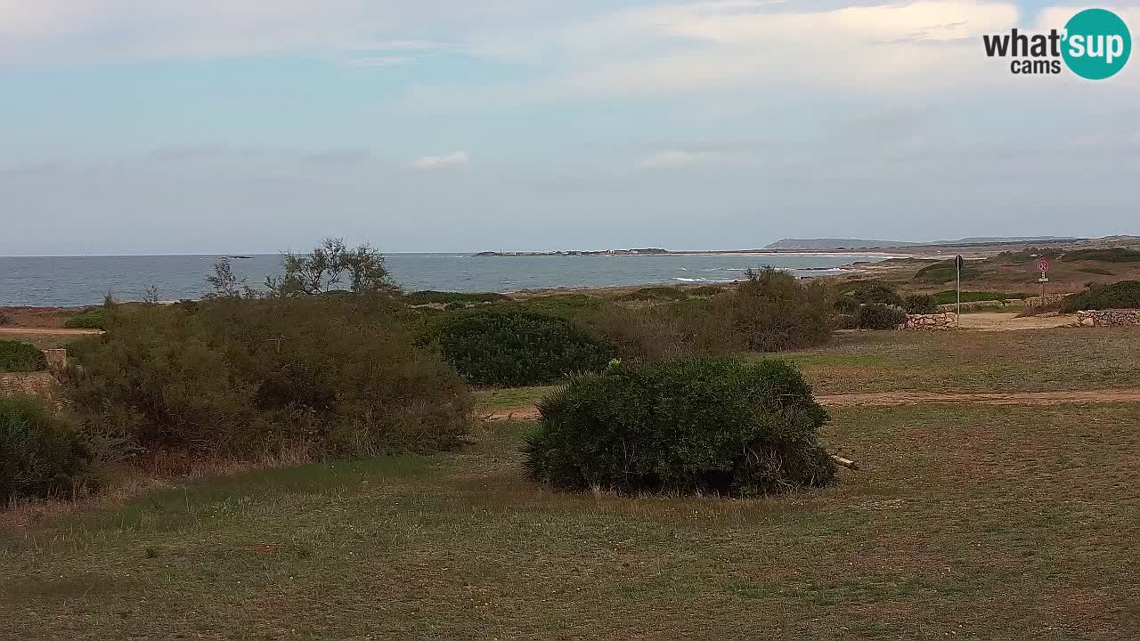 Plage Mari Ermi | Is Arutas – Oristano