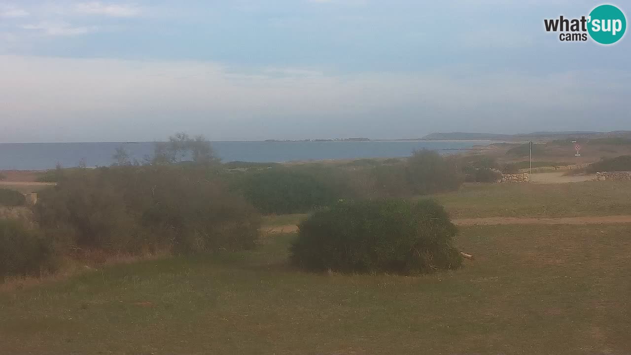 Mari Ermi Strand | Is Arutas – Oristano