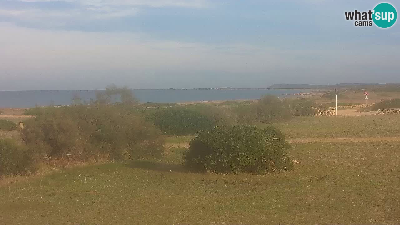 Playa Mari Ermi | Is Arutas – Oristano