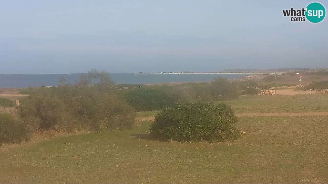 Playa Mari Ermi | Is Arutas – Oristano
