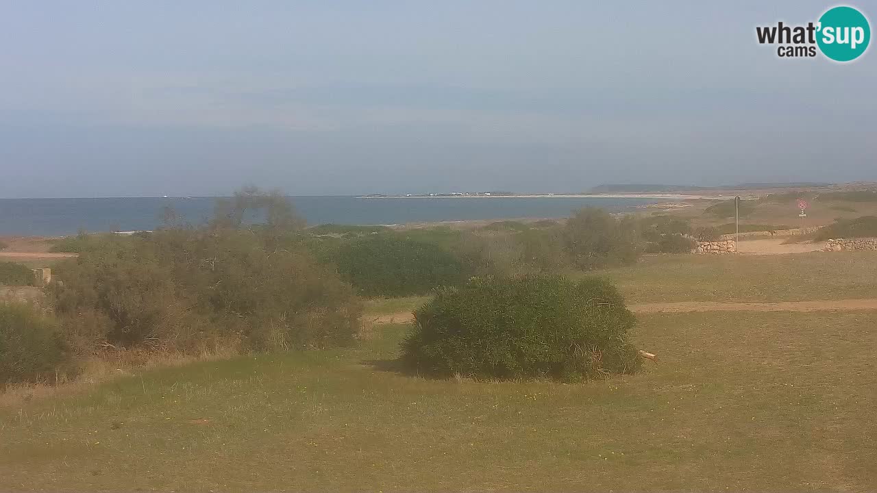 Plaža Mari Ermi | Is Arutas – Oristano