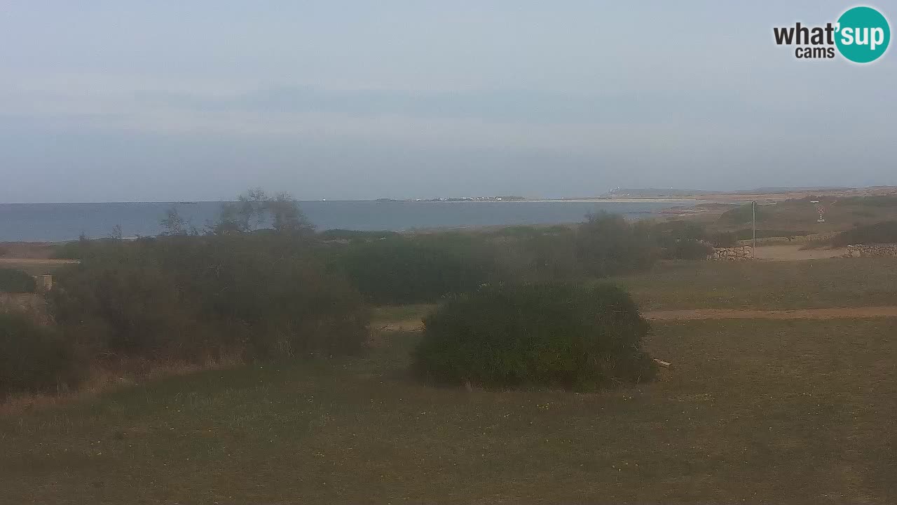 Plaža Mari Ermi | Is Arutas – Oristano