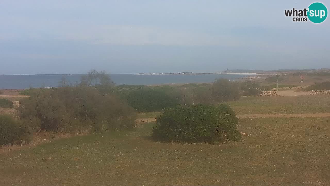 Mari Ermi Strand | Is Arutas – Oristano