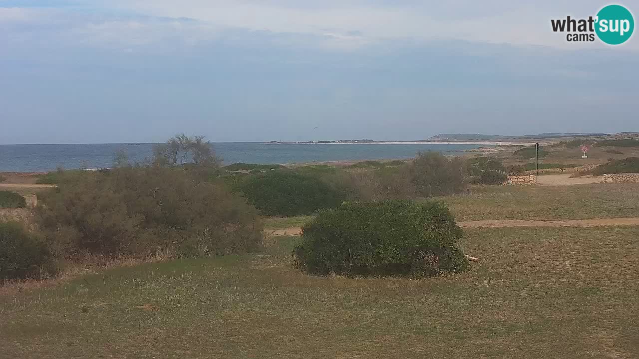 Playa Mari Ermi | Is Arutas – Oristano