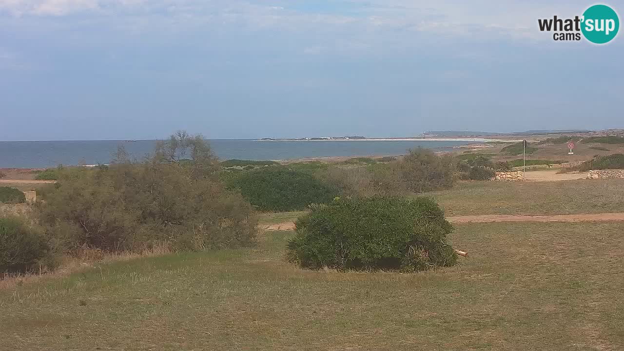Playa Mari Ermi | Is Arutas – Oristano