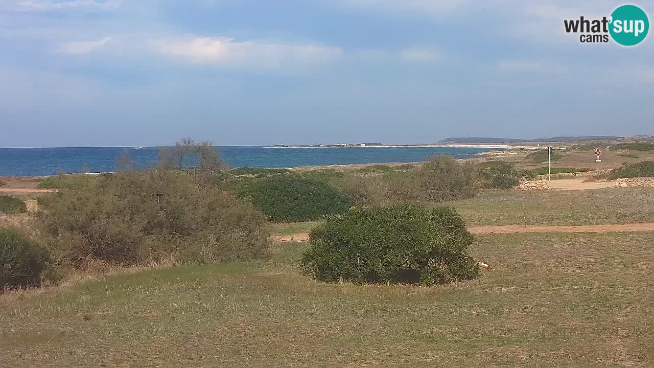 Plaža Mari Ermi | Is Arutas – Oristano