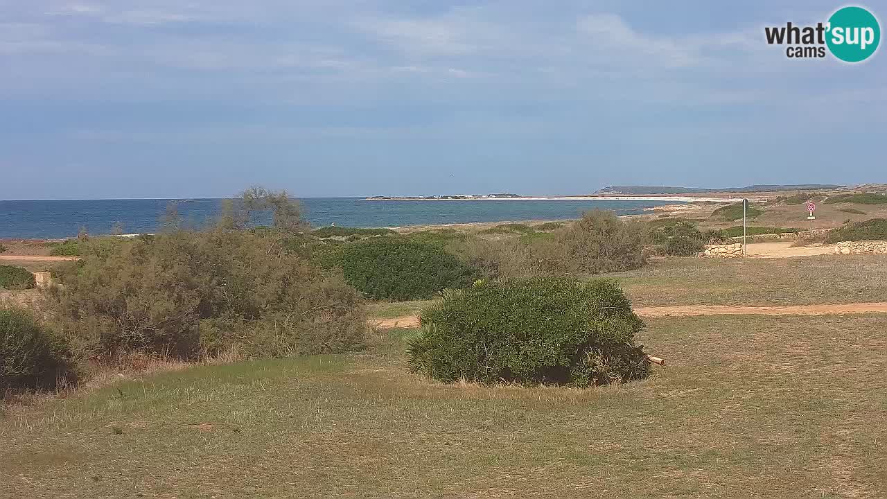 Plaža Mari Ermi | Is Arutas – Oristano