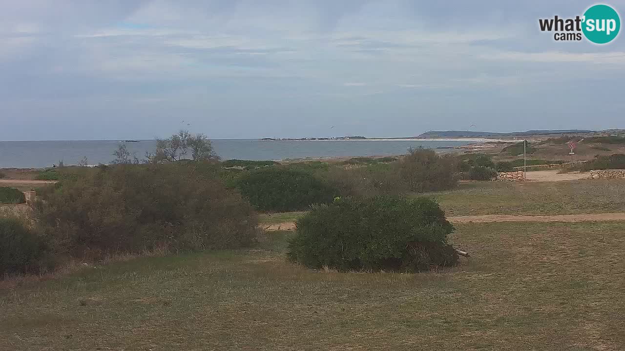 Plage Mari Ermi | Is Arutas – Oristano