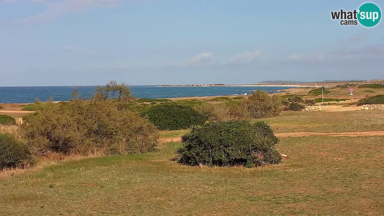 Mari Ermi Strand | Is Arutas – Oristano