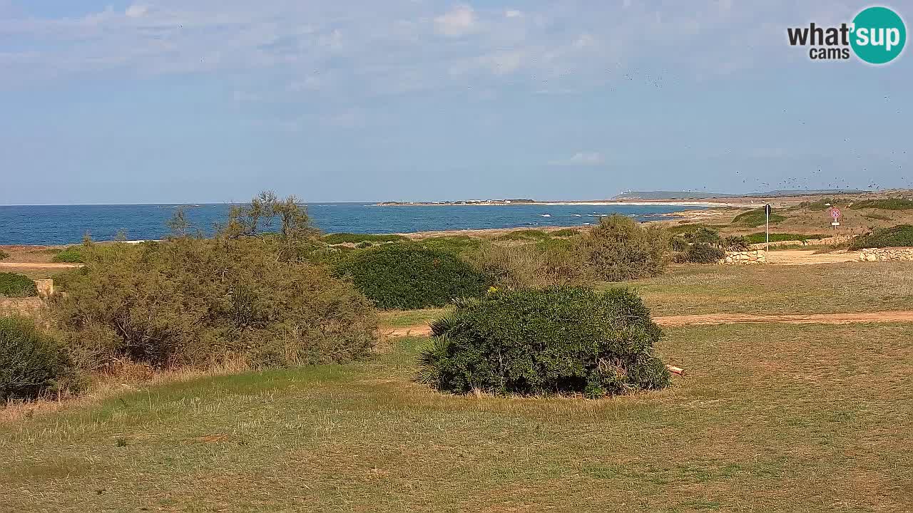 Plage Mari Ermi | Is Arutas – Oristano
