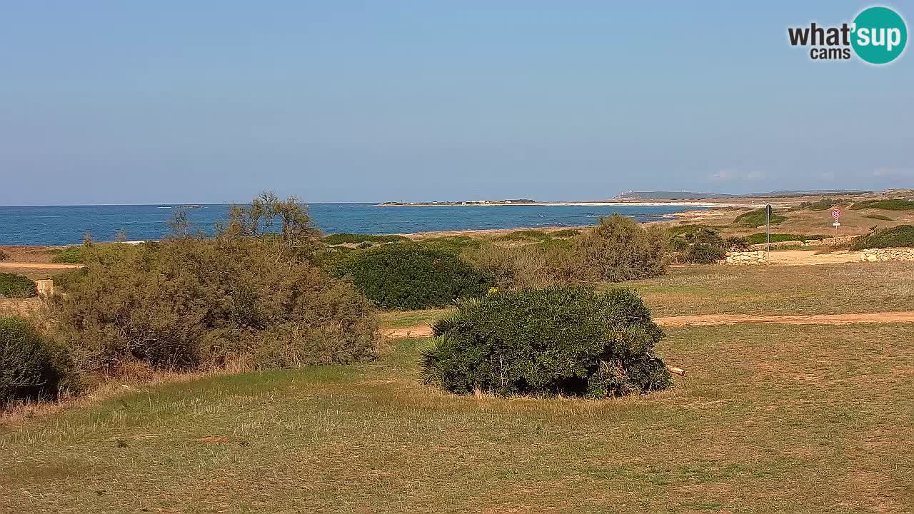 Mari Ermi Strand | Is Arutas – Oristano