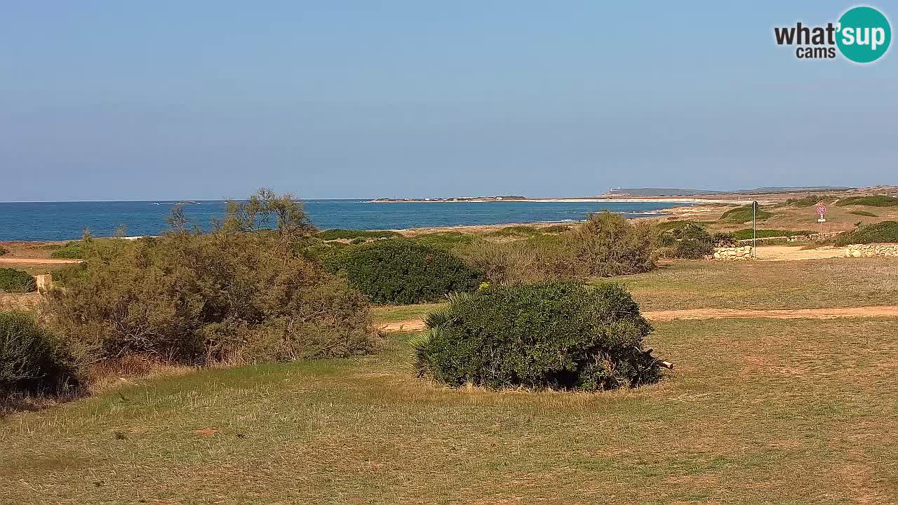 Spiaggia Mari Ermi | Is Arutas – Oristano