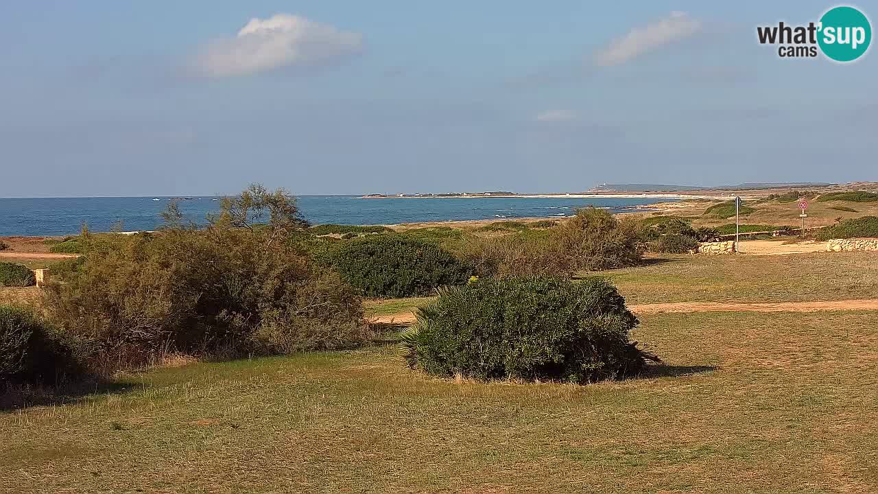 Plage Mari Ermi | Is Arutas – Oristano