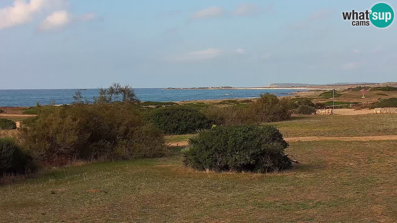 Spiaggia Mari Ermi | Is Arutas – Oristano