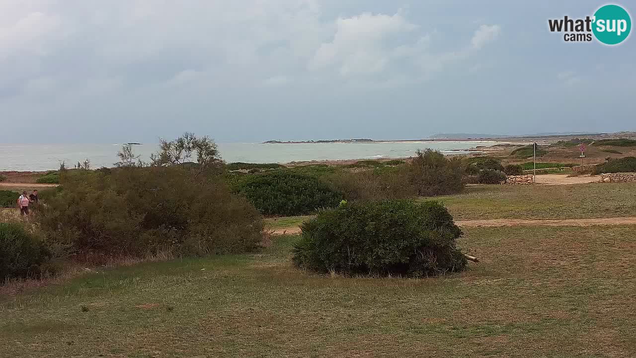Playa Mari Ermi | Is Arutas – Oristano