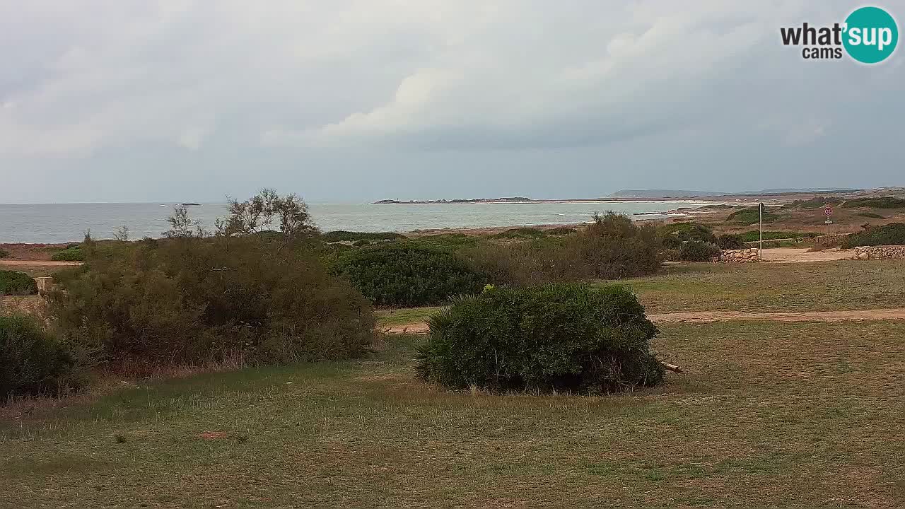 Plaža Mari Ermi | Is Arutas – Oristano