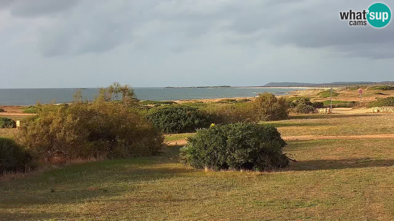 Plaža Mari Ermi | Is Arutas – Oristano