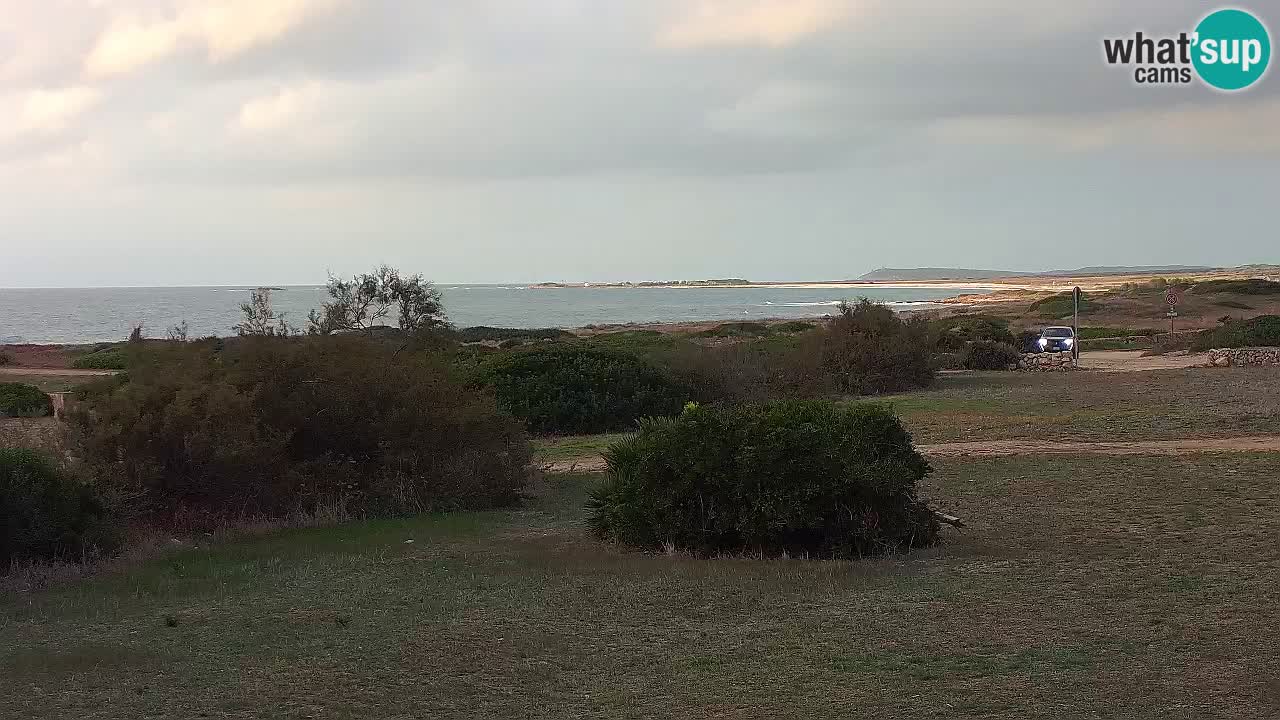 Playa Mari Ermi | Is Arutas – Oristano
