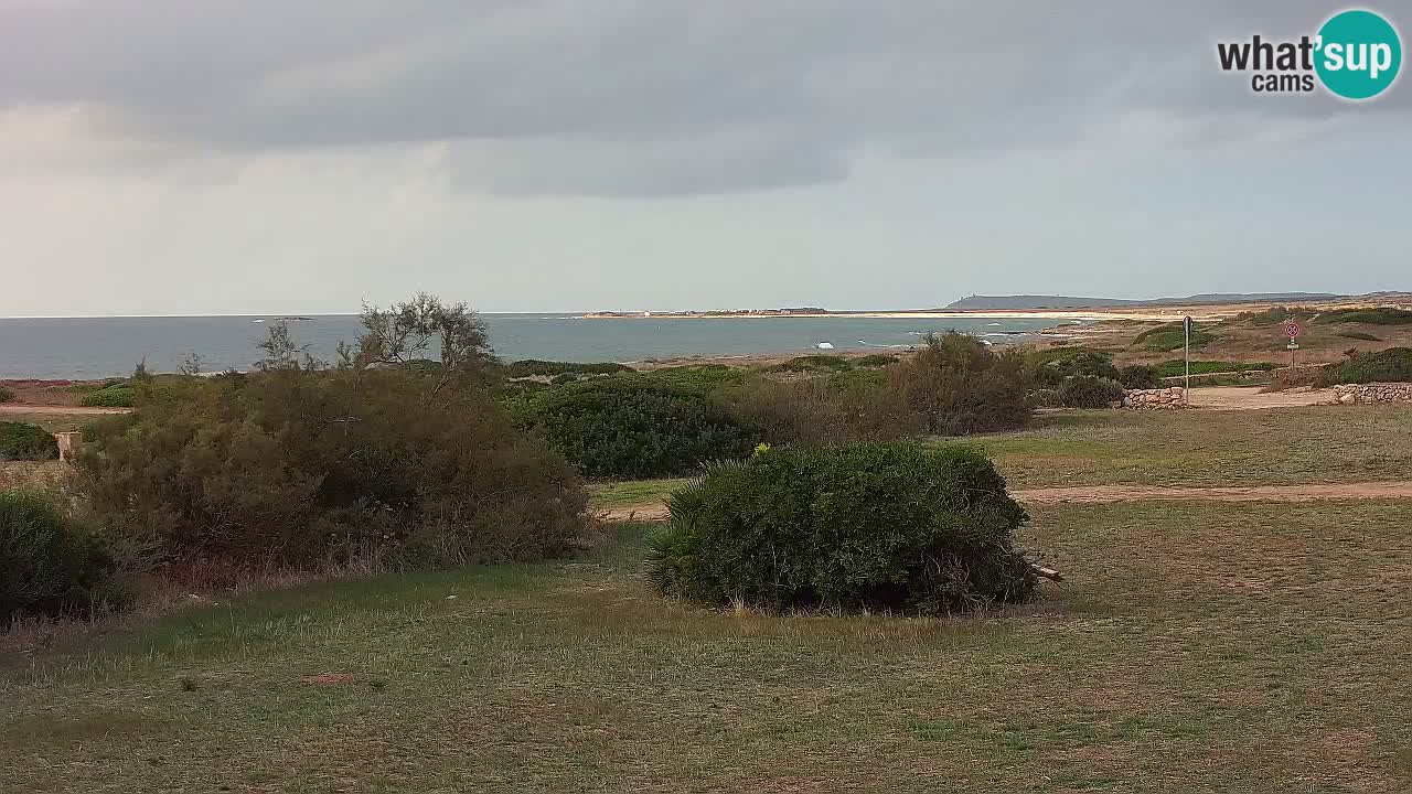 Mari Ermi Strand | Is Arutas – Oristano