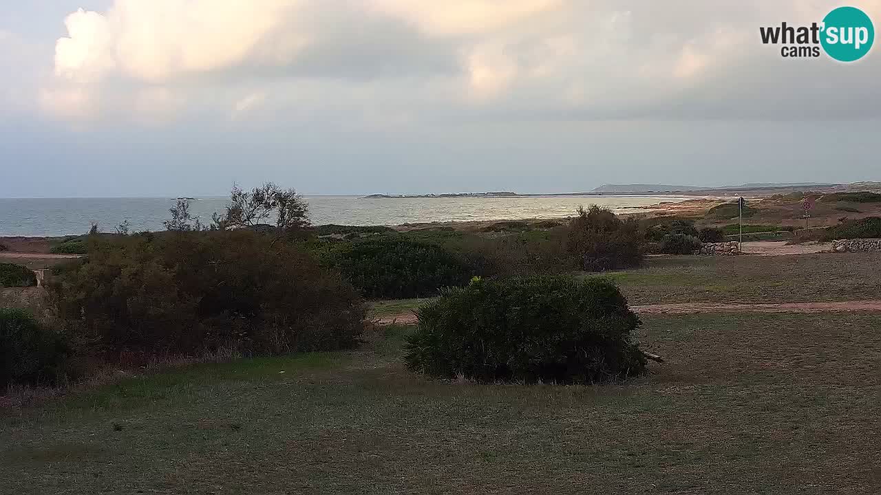 Plaža Mari Ermi | Is Arutas – Oristano