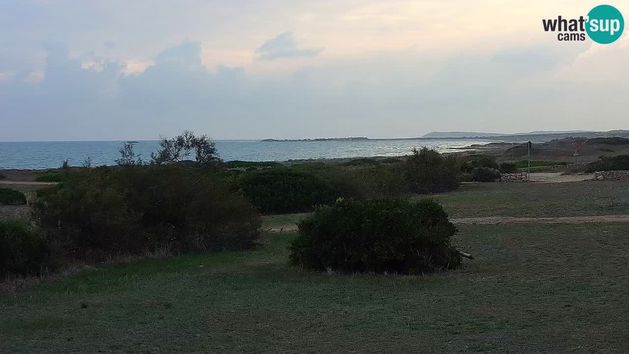 Mari Ermi Strand | Is Arutas – Oristano