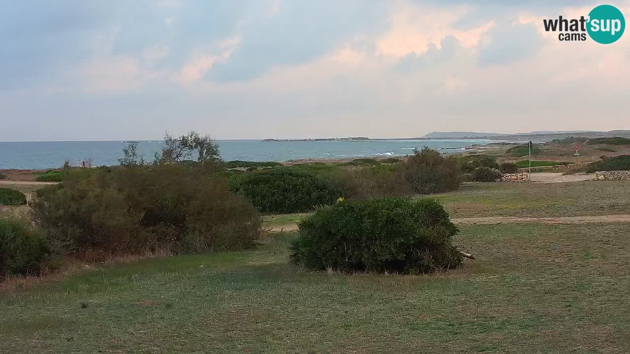 Mari Ermi Strand | Is Arutas – Oristano