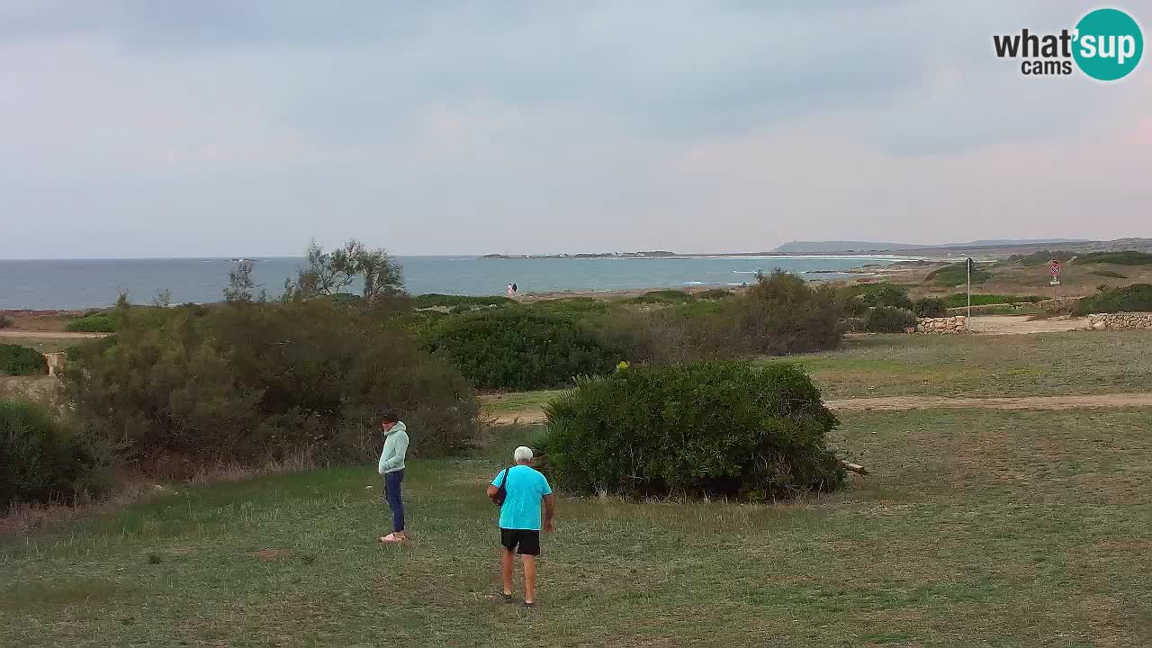 Plaža Mari Ermi | Is Arutas – Oristano