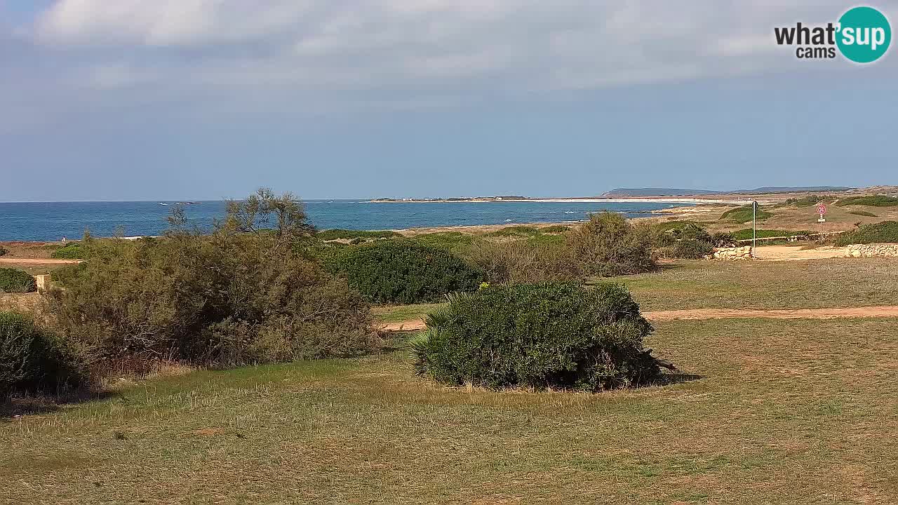 Plage Mari Ermi | Is Arutas – Oristano