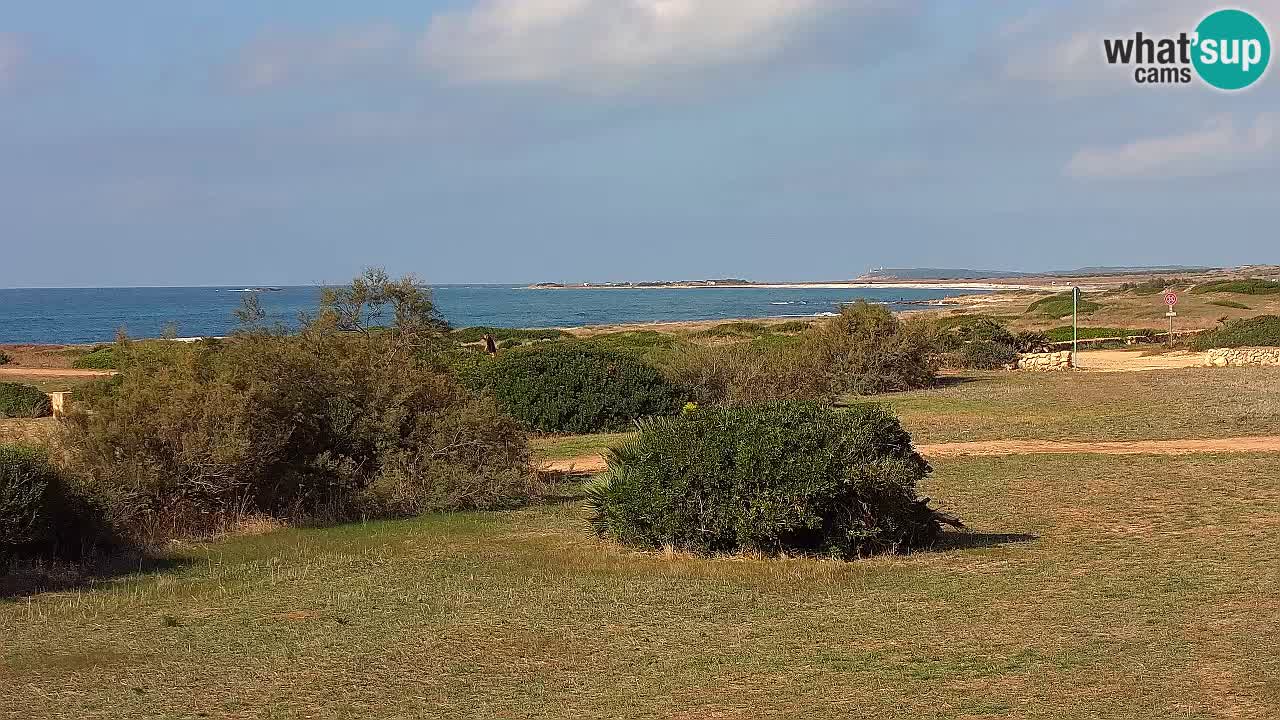 Spiaggia Mari Ermi | Is Arutas – Oristano