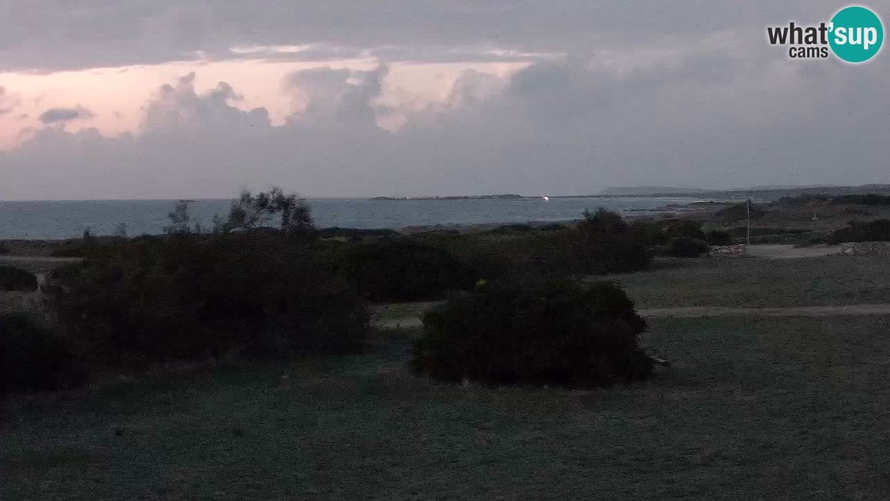 Mari Ermi Strand | Is Arutas – Oristano