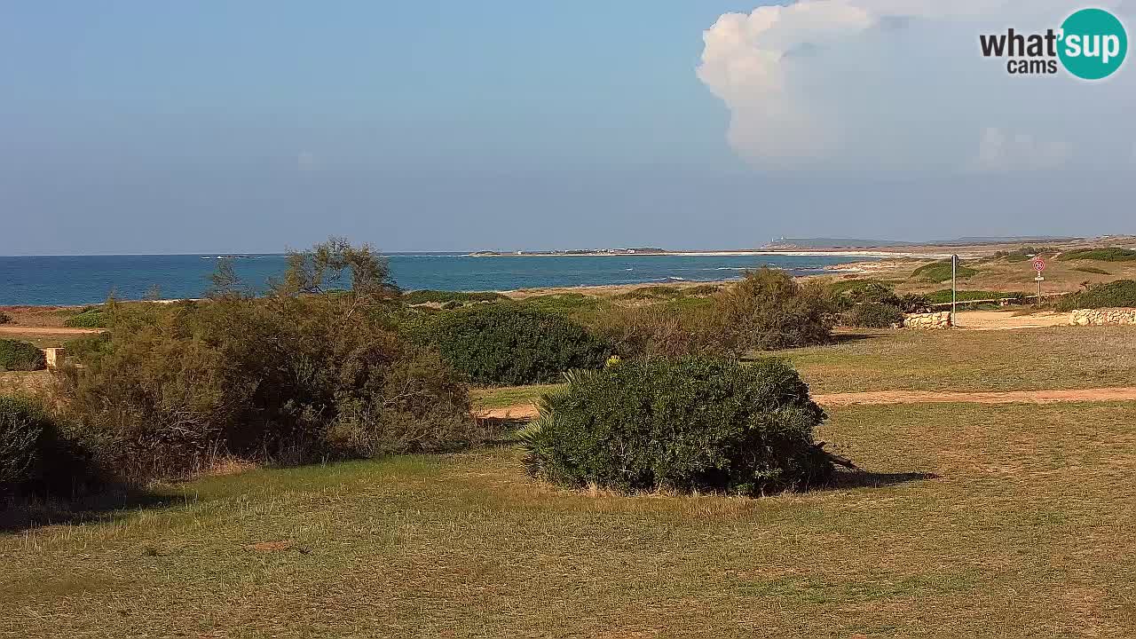 Plaža Mari Ermi | Is Arutas – Oristano