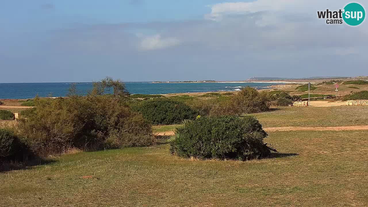 Spiaggia Mari Ermi | Is Arutas – Oristano