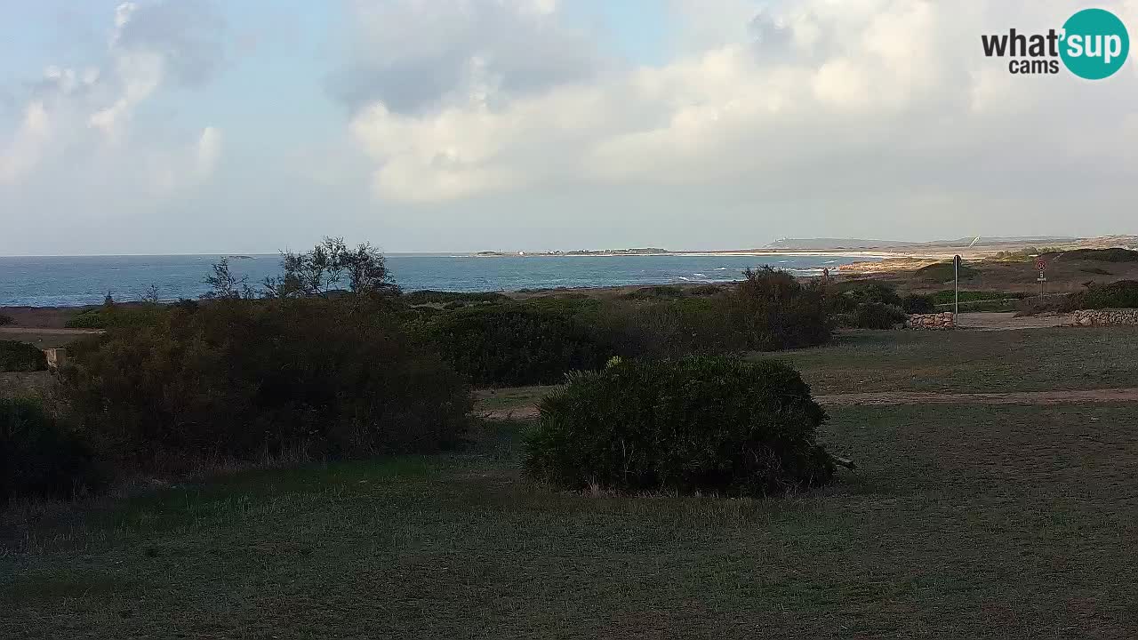 Playa Mari Ermi | Is Arutas – Oristano