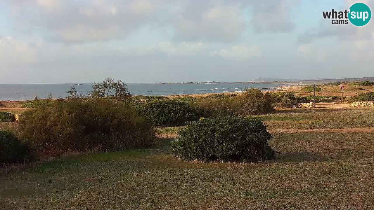 Playa Mari Ermi | Is Arutas – Oristano