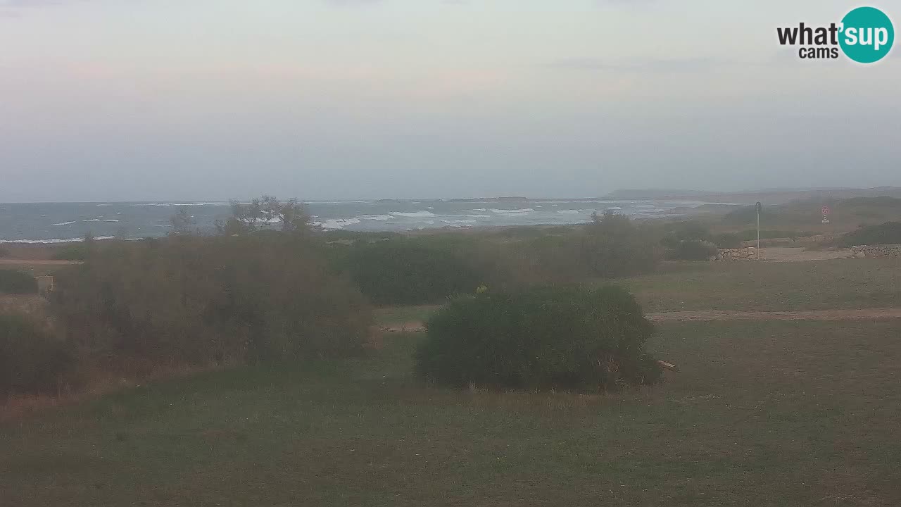 Mari Ermi Strand | Is Arutas – Oristano