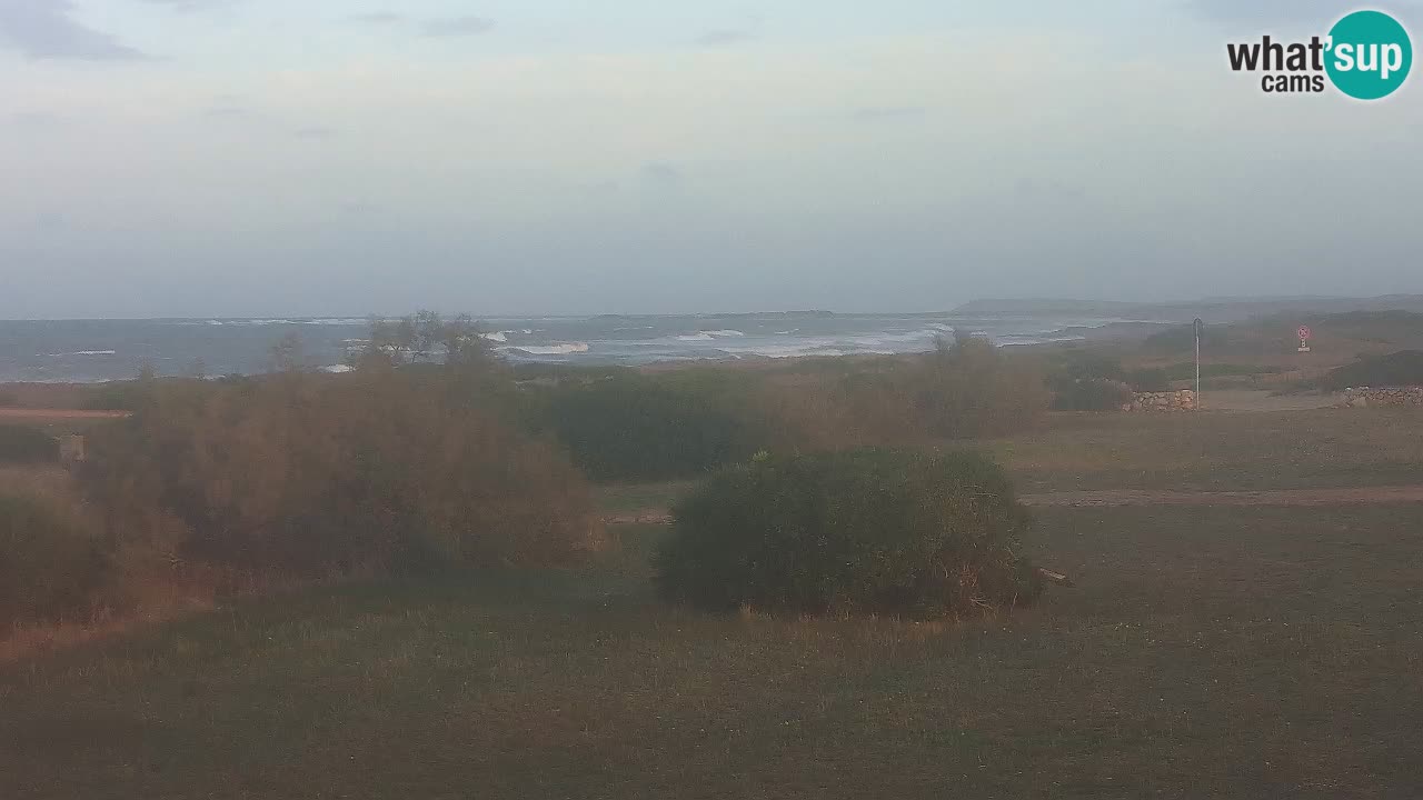Playa Mari Ermi | Is Arutas – Oristano