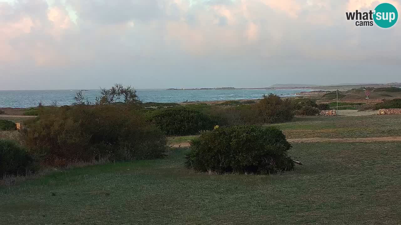 Plaža Mari Ermi | Is Arutas – Oristano