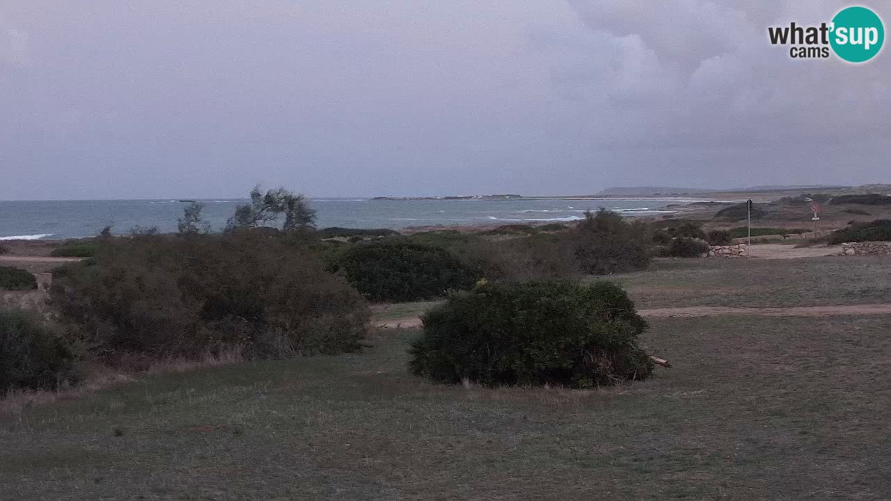 Playa Mari Ermi | Is Arutas – Oristano