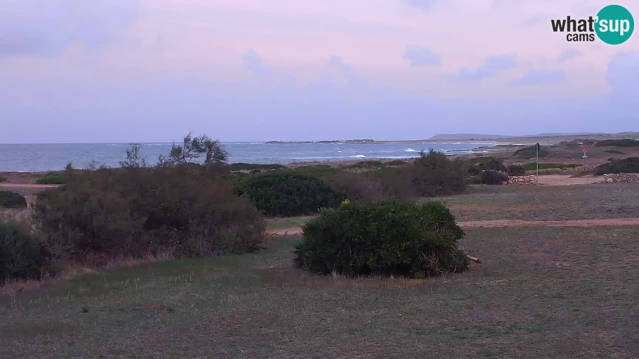 Plaža Mari Ermi | Is Arutas – Oristano