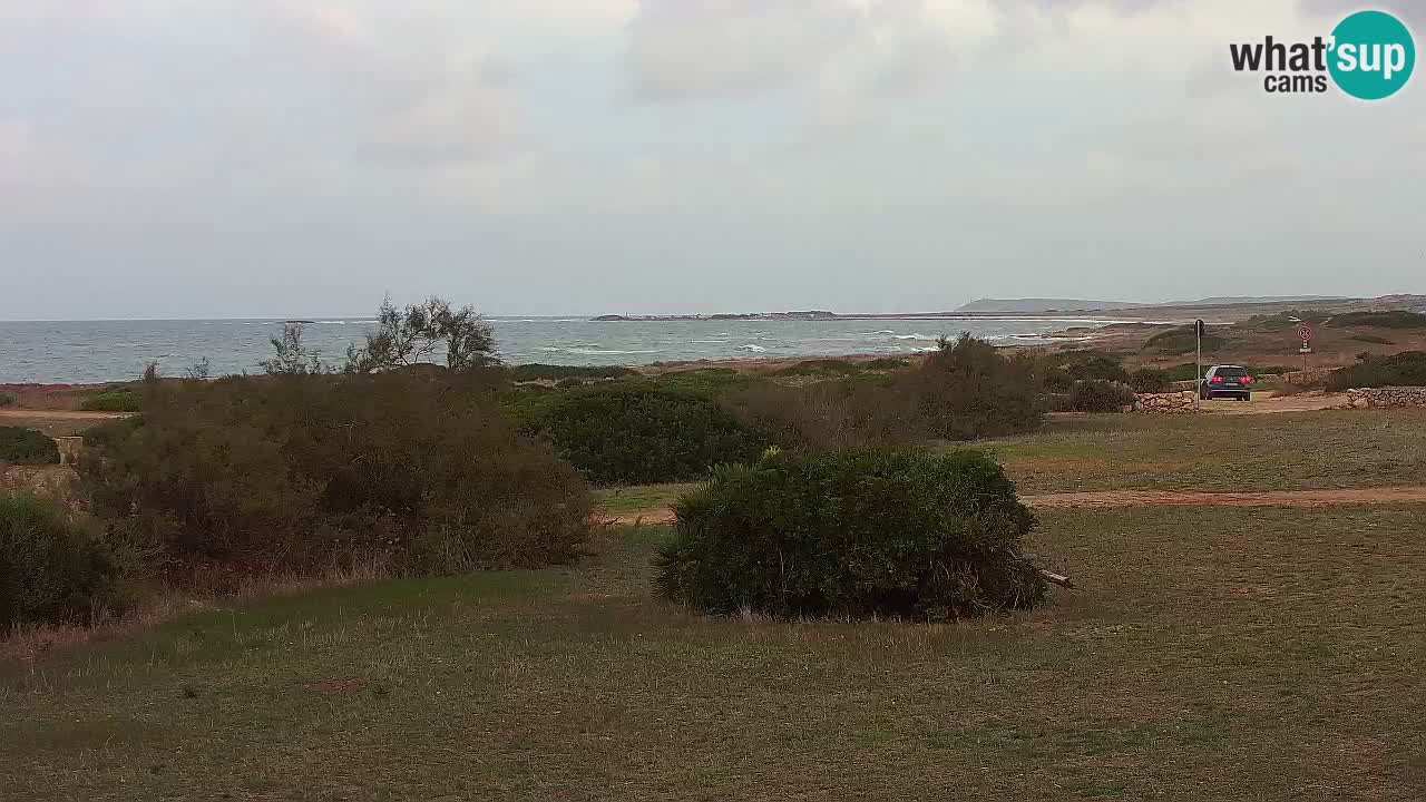 Playa Mari Ermi | Is Arutas – Oristano