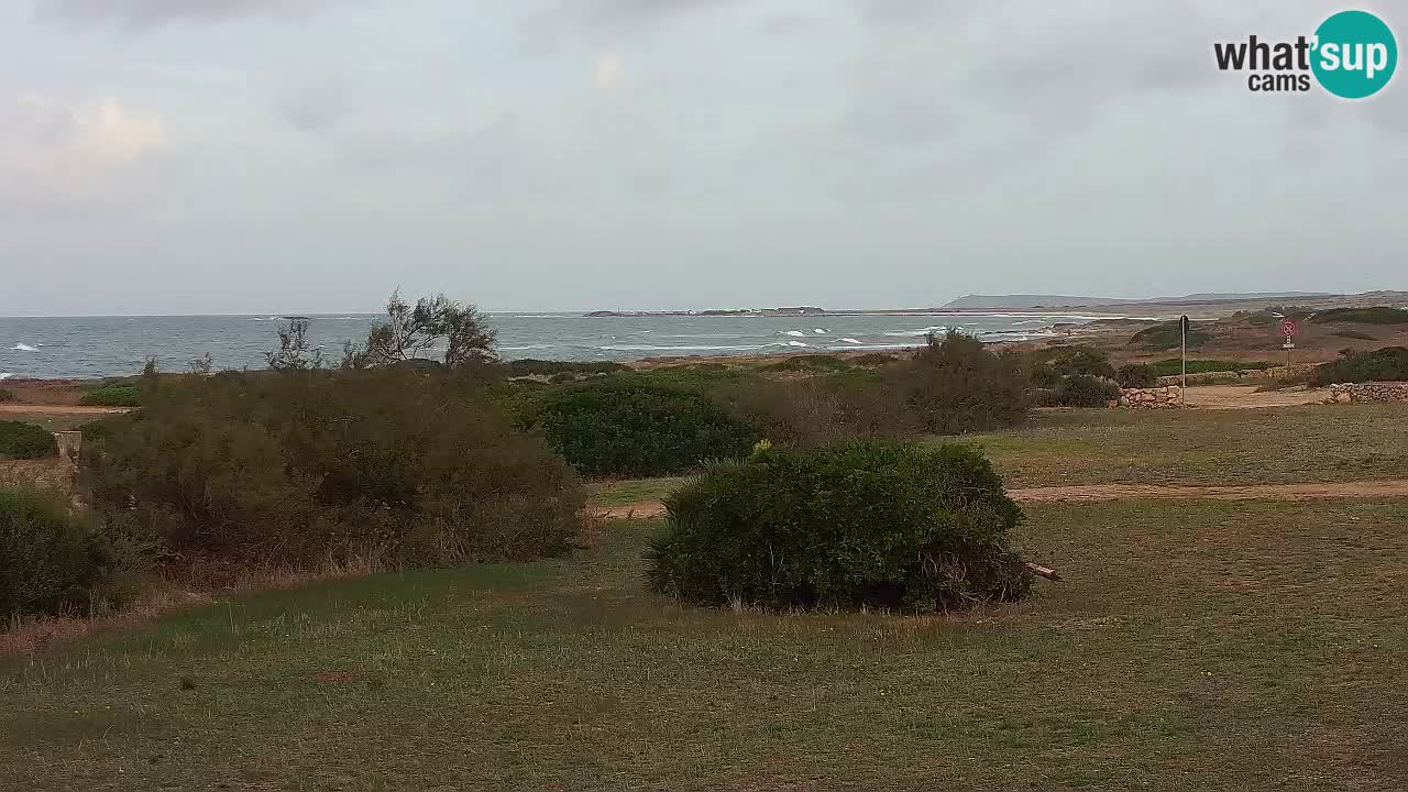 Playa Mari Ermi | Is Arutas – Oristano