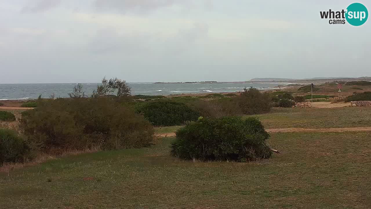 Playa Mari Ermi | Is Arutas – Oristano